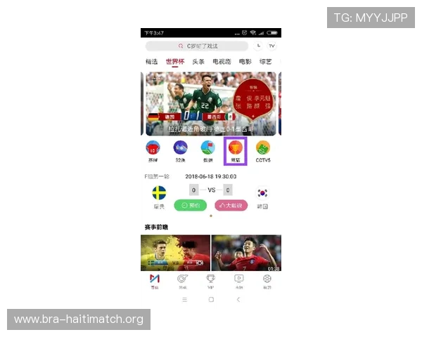 亚博买球平台的VIP会员制度与专属福利详解提升用户粘性